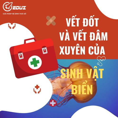 Vết Đốt Và Vết Đâm Xuyên Của Sinh Vật Biển